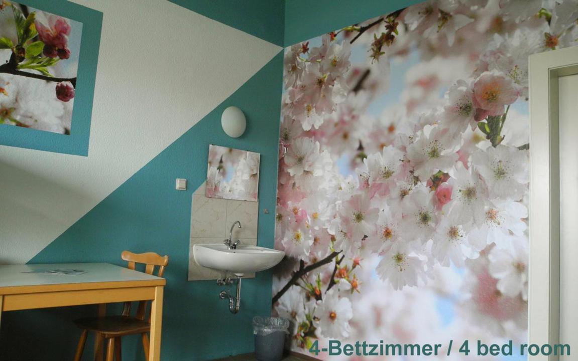 Bett im 4-Bett-Schlafsaal